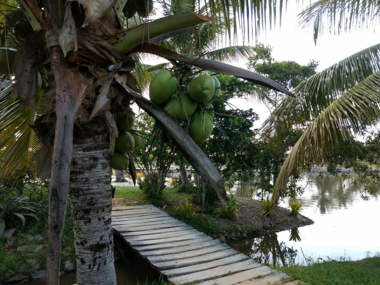 Residencial Lagoa Da Praia Alcobaça 외부 사진